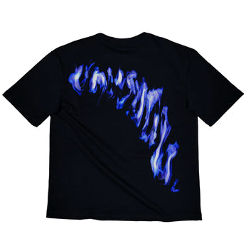FLAME-TS-001